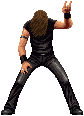 Leoviper